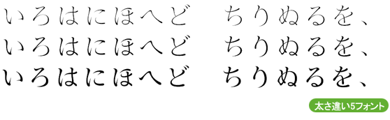 TA-金鉄ミBT W1/W2/W3/W4/W5 (木村哲也)