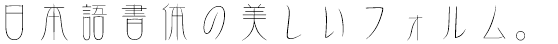DF金文体 W2 (DFP～/DFG～ 同梱)