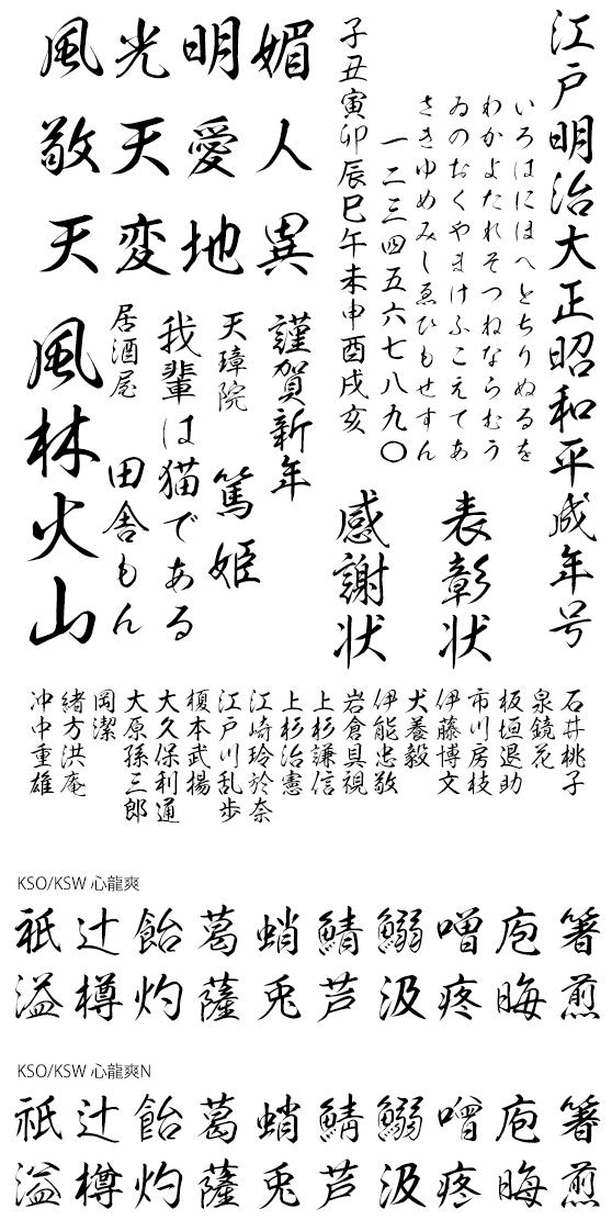 心龍爽書体 (KSO心龍爽・~N同梱)