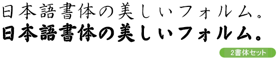 馬王楷書＋兎臣楷書セット