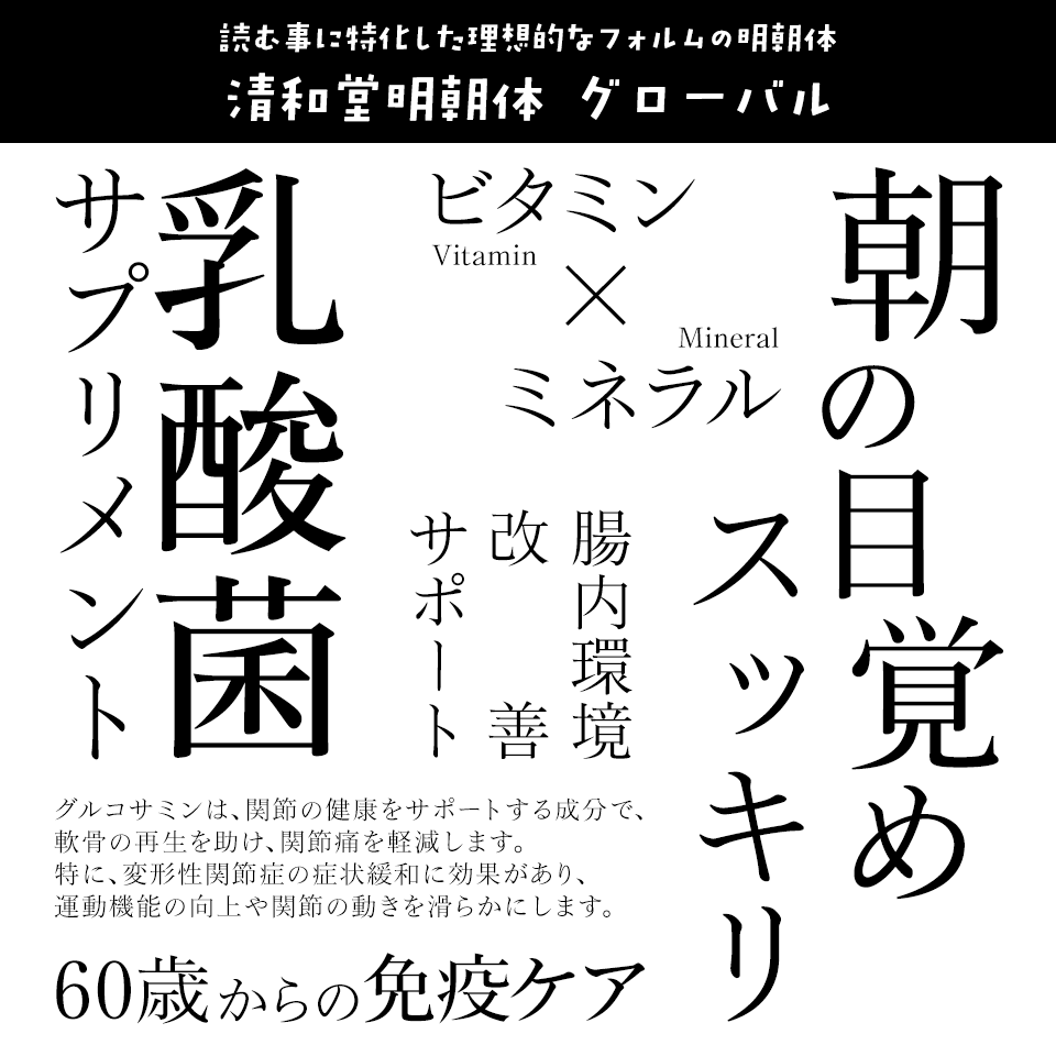 「健康食品」に合うフォント 清和堂明朝体 グローバル